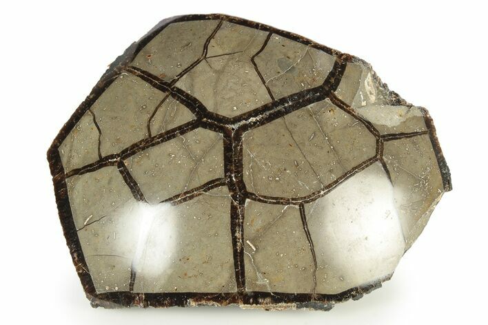 Bargain, Polished Septarian Geode Section - Black Crystals #251554